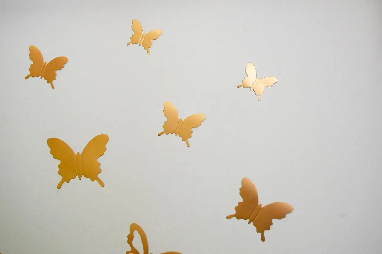 Beautiful Apartment Butterfly With Free Parking Pula Croatia